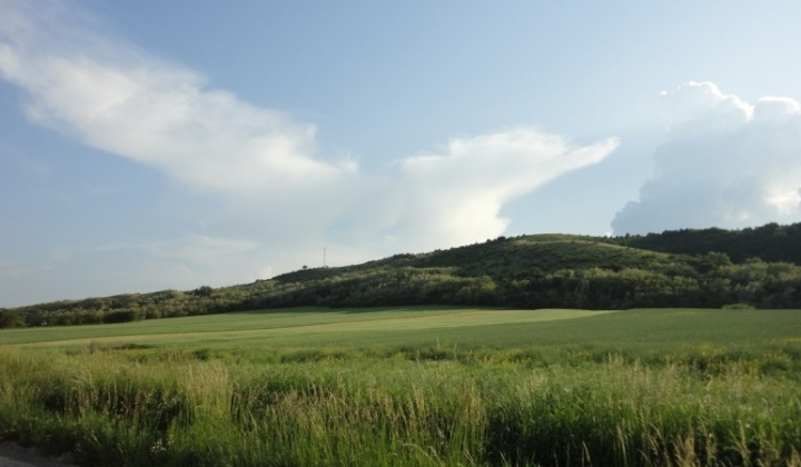 Zobraziť fotografiu