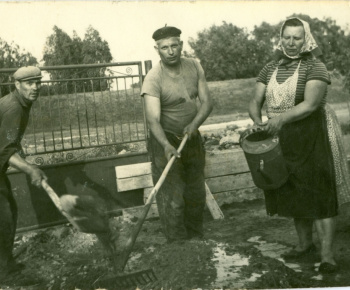 Tanečná