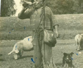 Tanečná