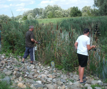 Vôňa Vianoc 2014 s ORM Sirník