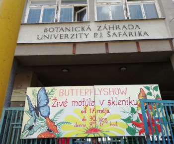 Športová olympiáda