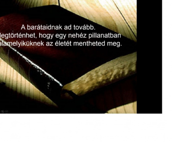Súťaž vo varení 2014 - Főzőverseny 2014 – Széphalom 