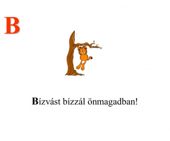 Súťaž vo varení 2014 - Főzőverseny 2014 – Széphalom 